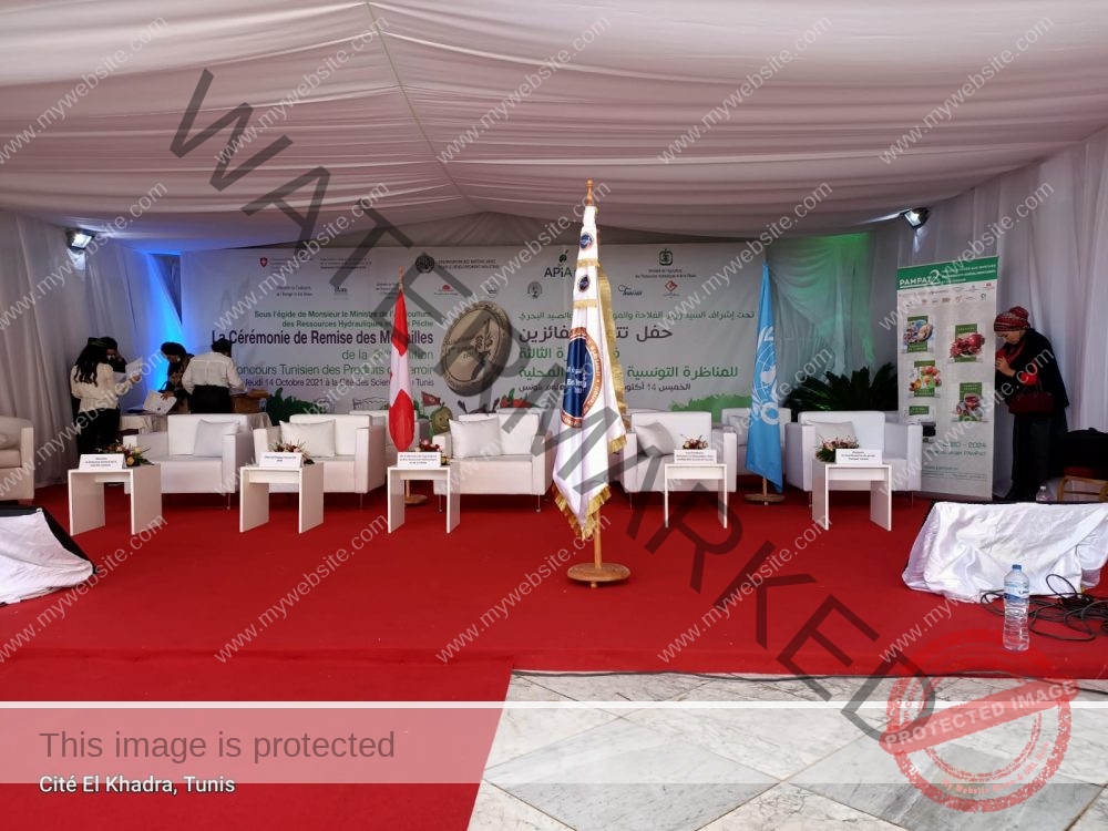 Fauteuil 1 place carrée – Image 3