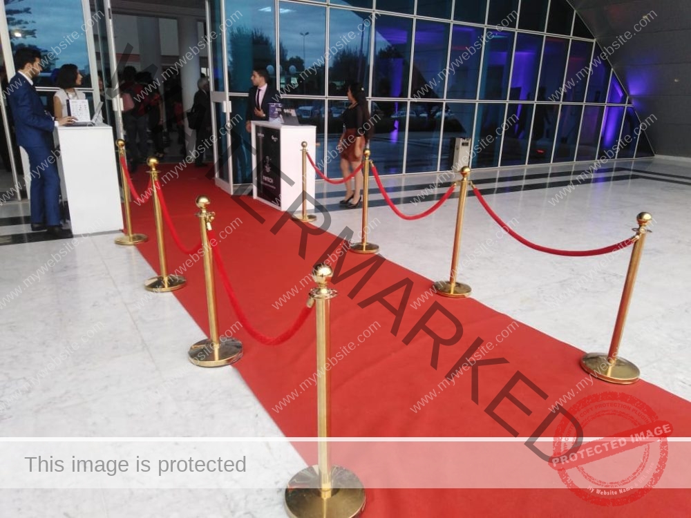 Balise VIP – Image 2